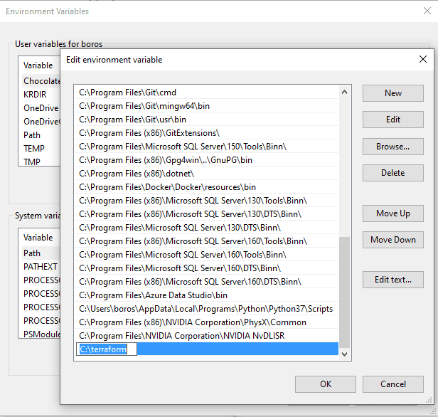 Add terraform env variable